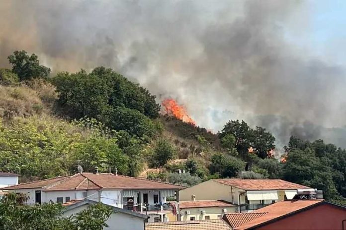 incendio santa maria del cedro