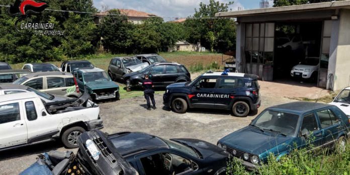 officina abusiva dinami