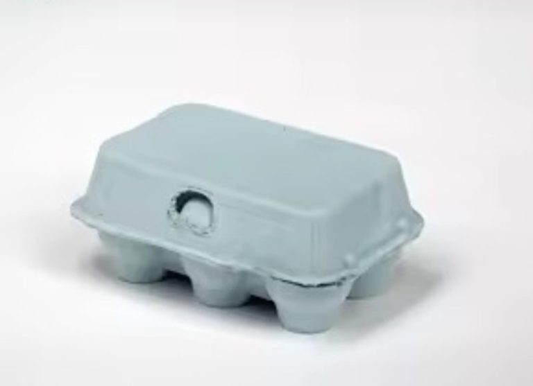 Allerta alimentare: il Ministero della Salute blocca uova per pericolo batteriologico
