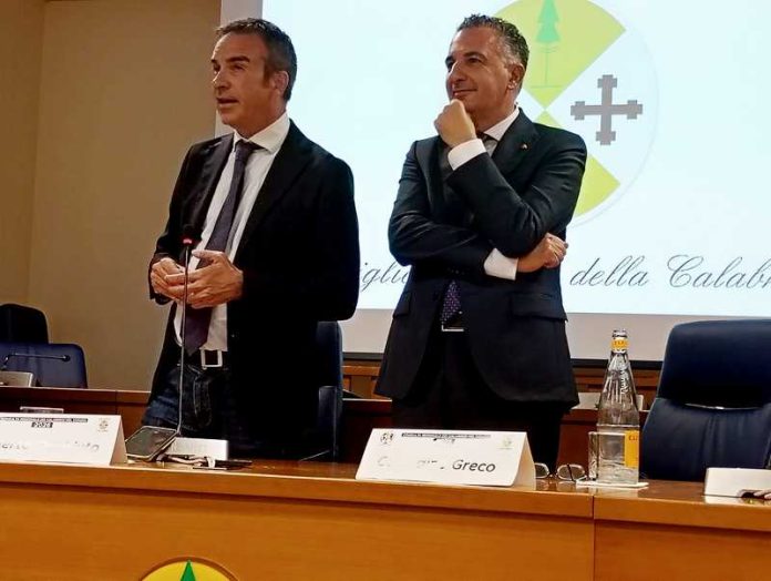 greco occhiuto consulta_2026