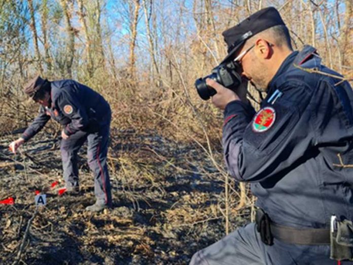 incendio boschivo curinga