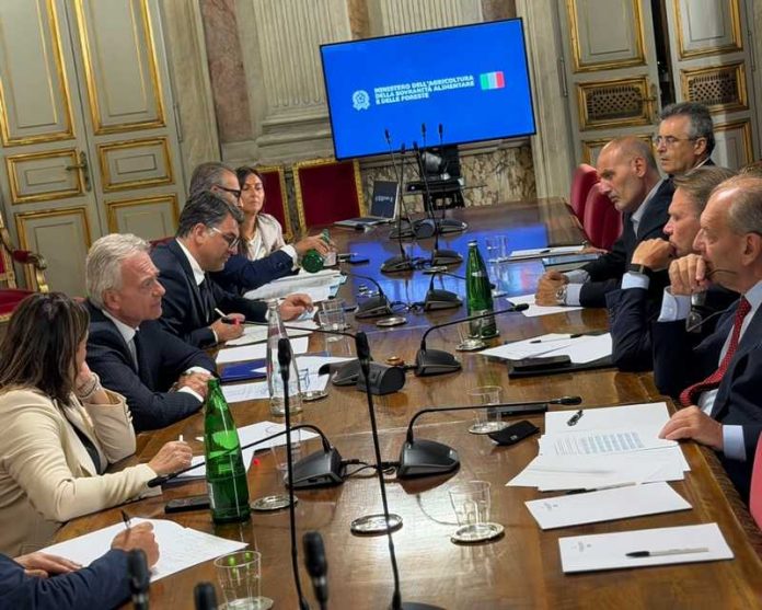 incontro regioni olio masaf