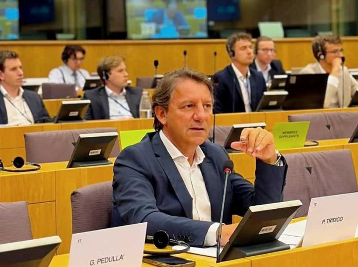 tridico parlamento europeo