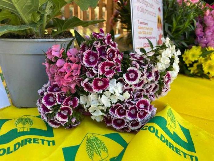 Fiori eduli