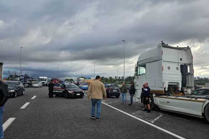 Gioia Tauro trasportatori