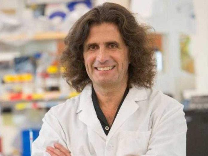 Michele Carbone