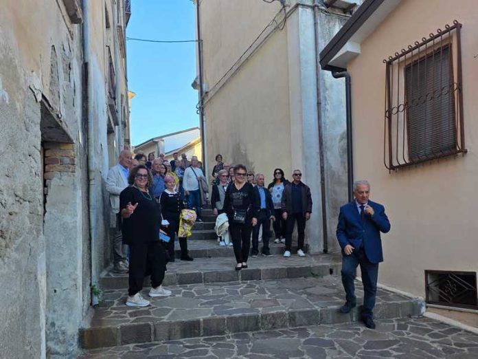 cavaliere identitario cosenza