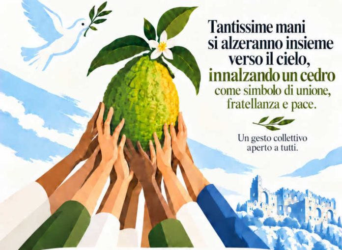 festa raccolta cedro 2026
