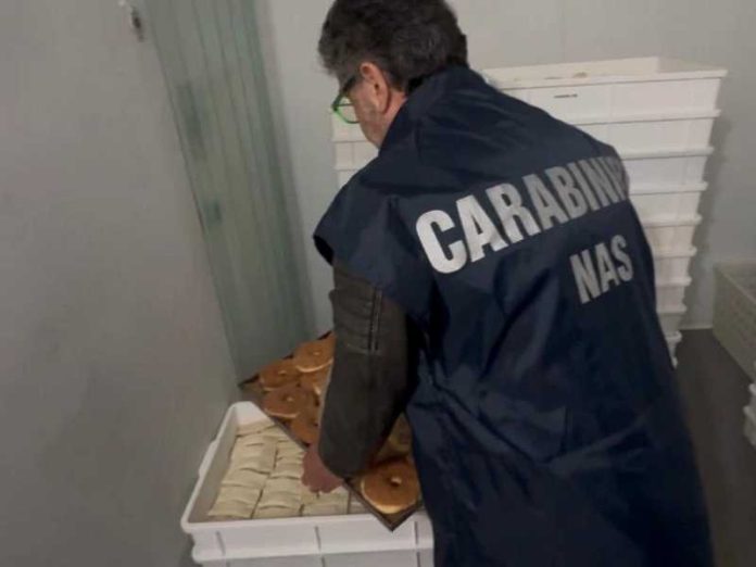 nas catanzaro sequestro alimentari
