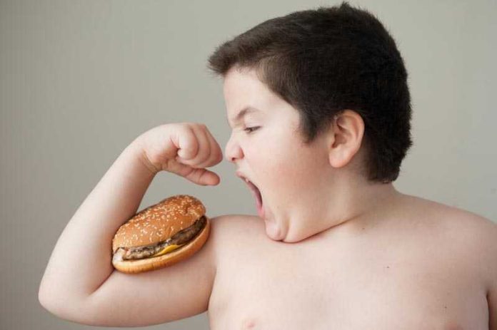 obesità infantile_hamburger