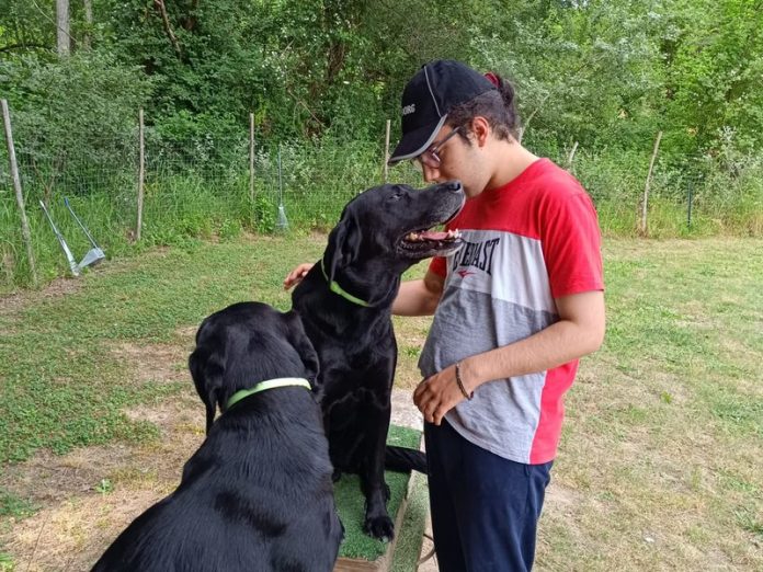 pet therapy