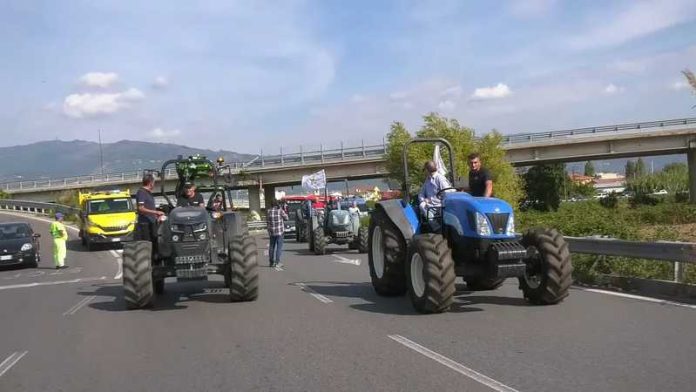 protesta trattori strada calabria