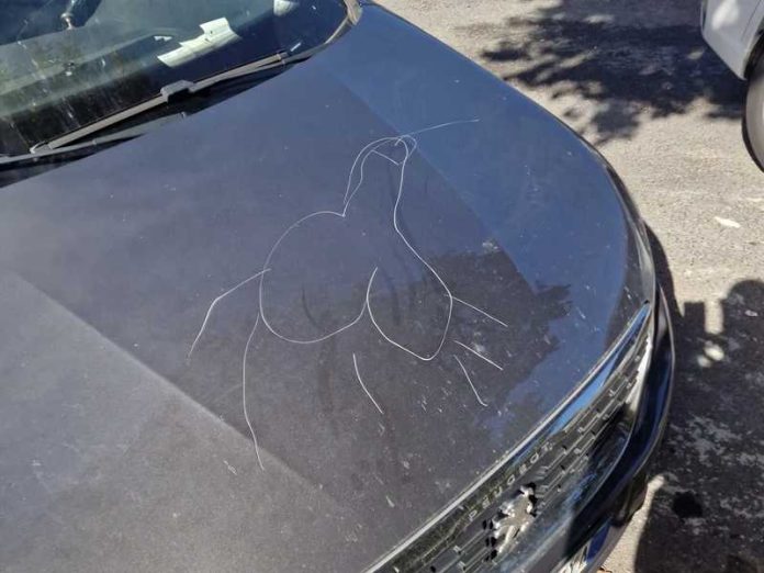 vandali auto gaglianese